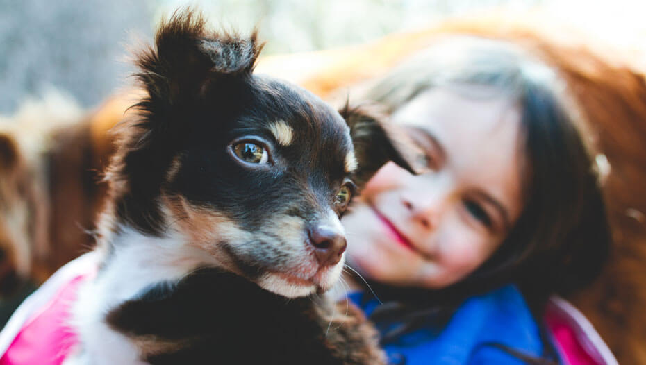 Responsible pet ownership for children text