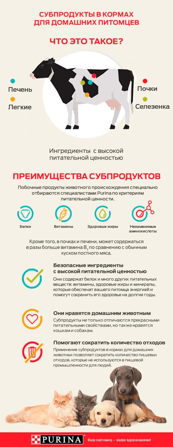 Мясо и продукты переработки мяса