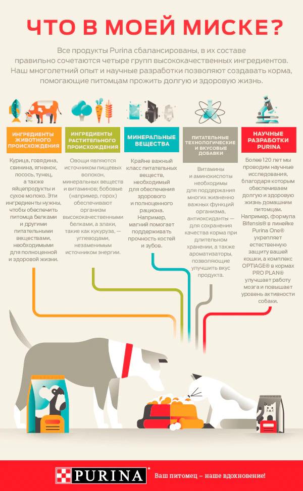 инфографика что у меня в миске