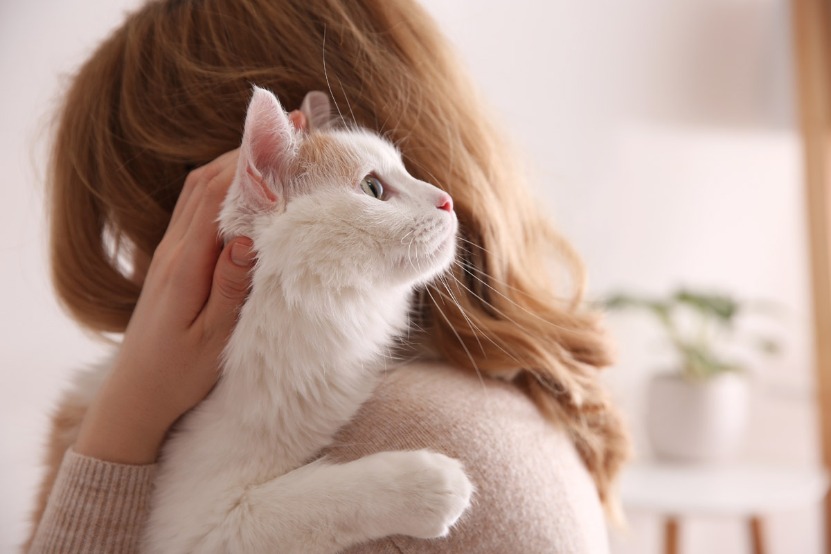 Как перевести возраст кошки на человеческий? - Purina.ru