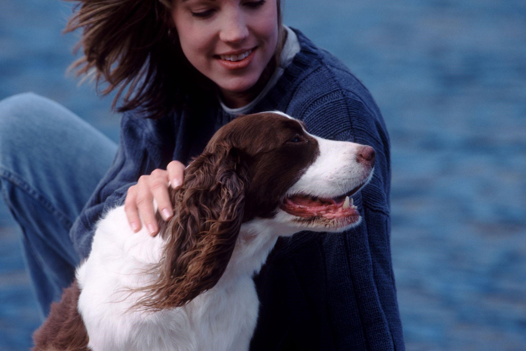Почему собака грызет лапы: основные причины и способы предотвращения
