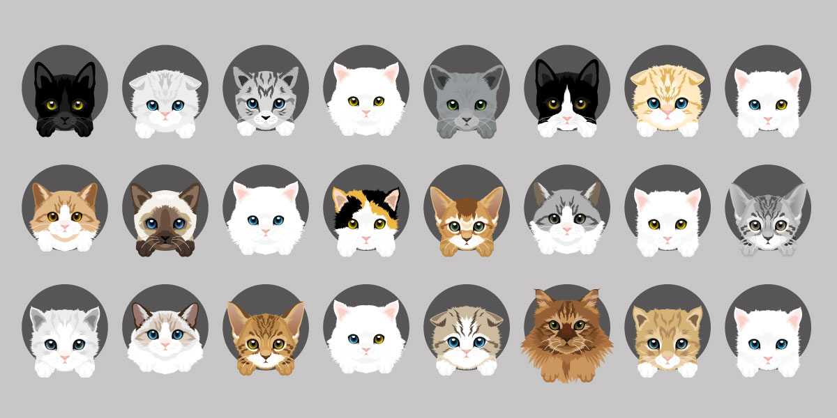 Тест: какая вы порода кошек? - Purina.ru