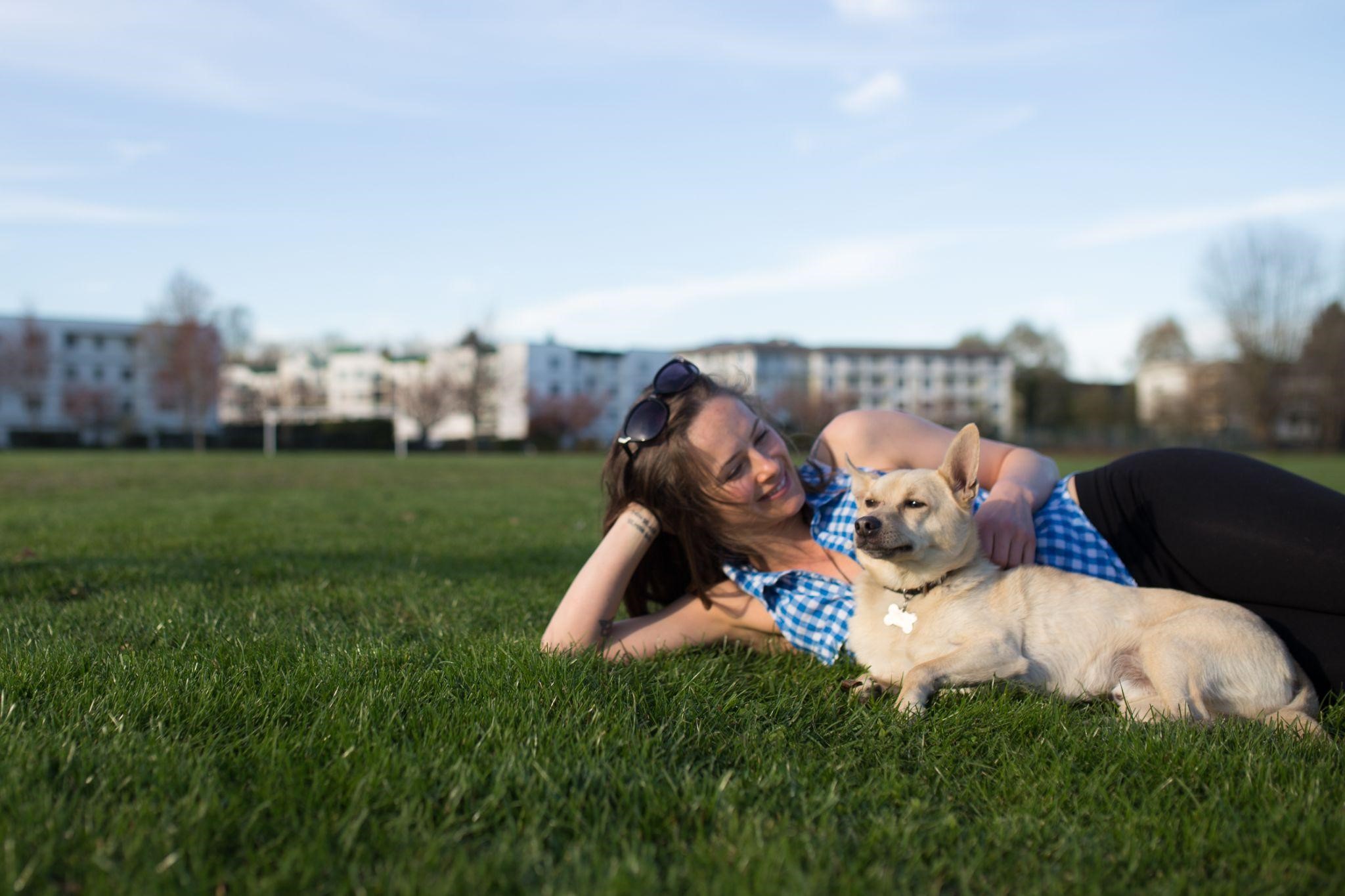 Как научить собаку лежать