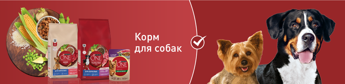 Banner wide