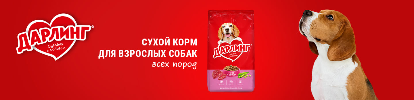 Darling dry banner