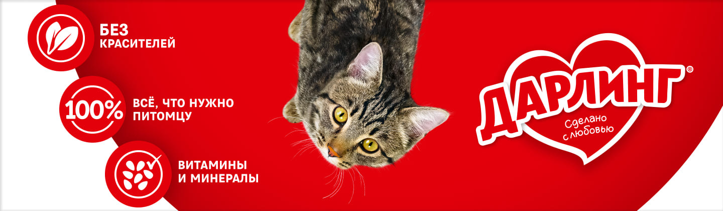 darling_dogs_banner_wide_1