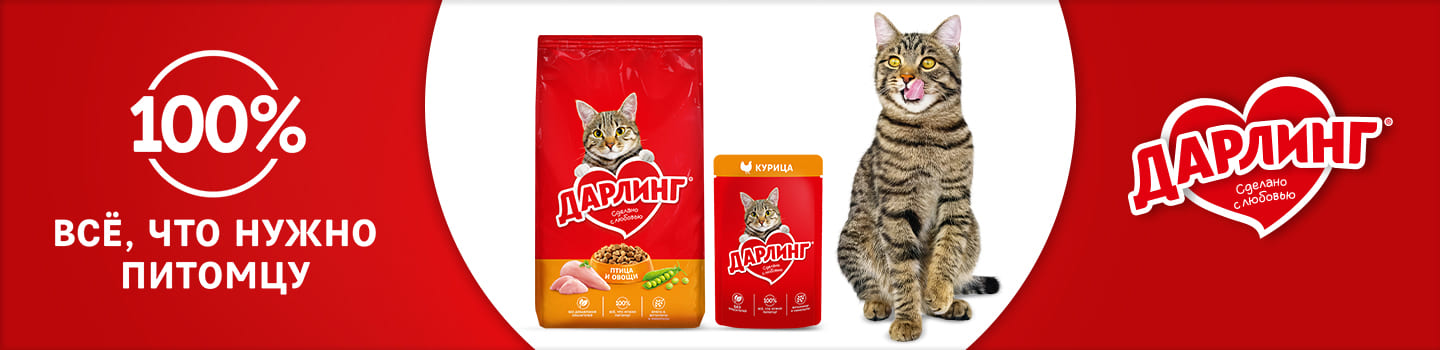 darling_cats_banner_wide_2