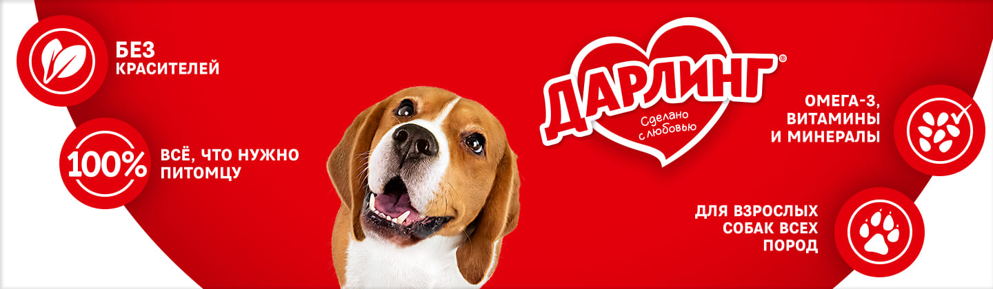 darling_dogs_banner_wide_2