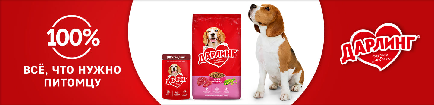 darling_dogs_banner_wide_3