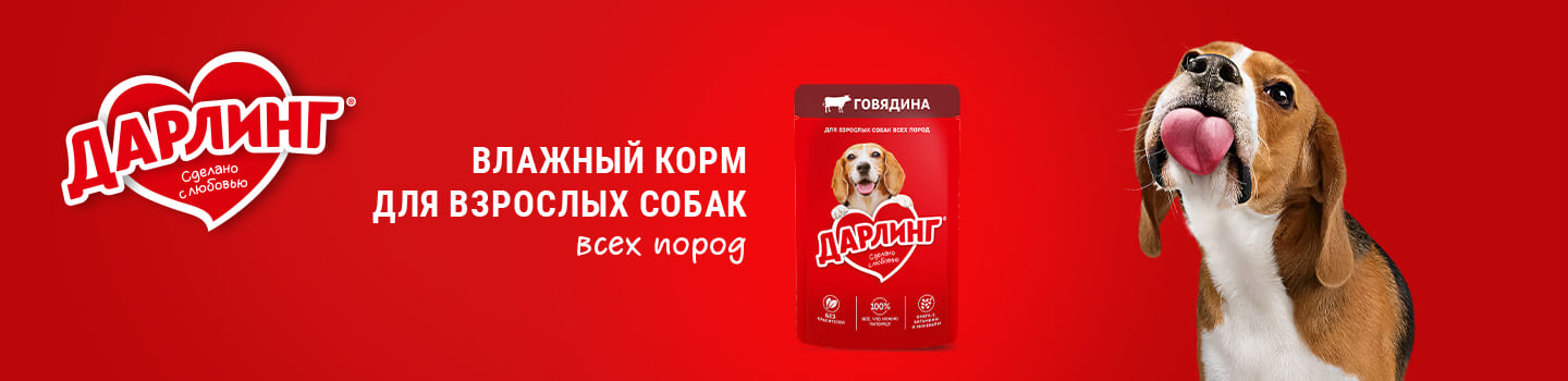 darling_dogs_banner_wide_4