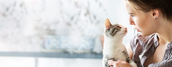 Котенок в новом доме, как помочь питомцу освоиться