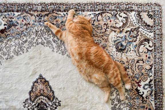 Кот потягивается на ковре