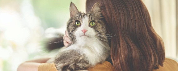 Кошка на руках у хозяйки