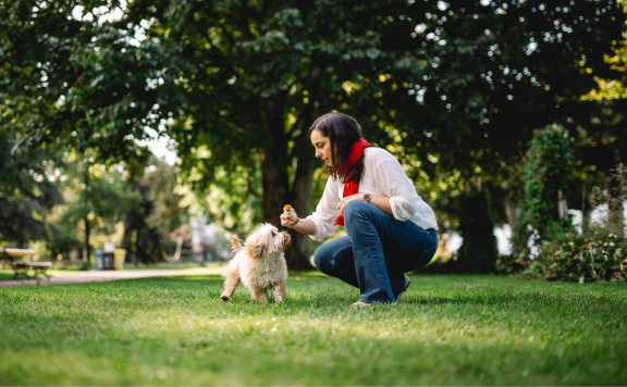 A girl playing with a dog