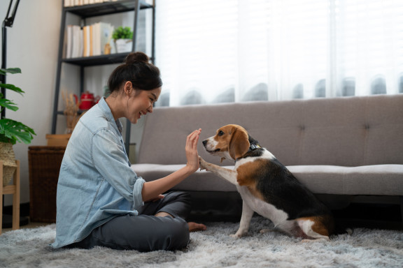 Woman working on laptop and holding dog