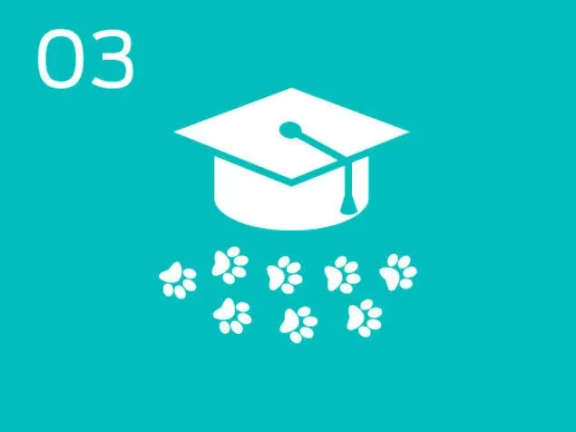 Infographic pet education