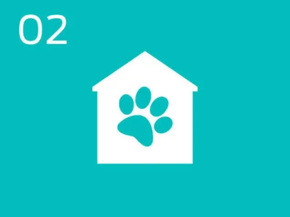 Infographic pet footprint and house