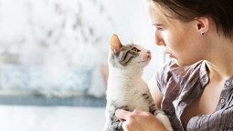 Котенок в новом доме, как помочь питомцу освоиться