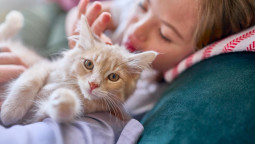 Кошка лежит на диване с ребенком
