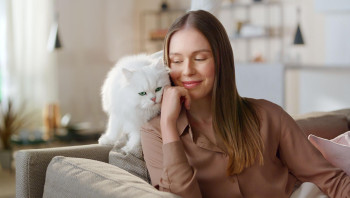 Кошка с хозяйкой на диване