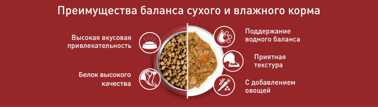 Преимущества баланса сухого и влажного корма