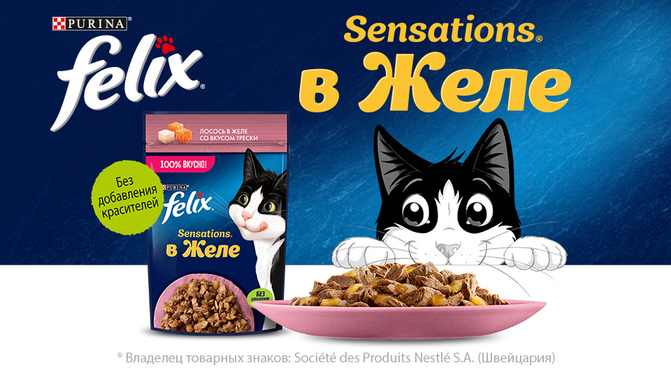 Sensations-в-желе