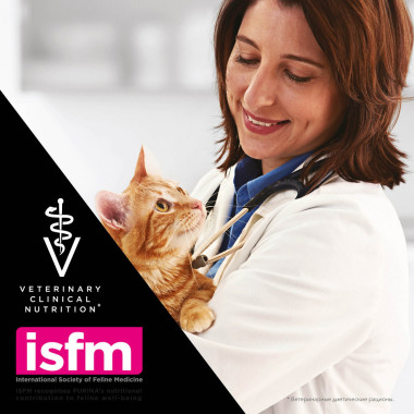 Пищевая добавка Forti Flora Feline Nutritional Complement для котят и кошек для нормализации микрофлоры желудочно-кишечного