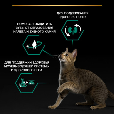 Сухой корм PRO PLAN® Sterilised Adult RENAL PLUS для взрослых кошек для поддержания здоровья почек после стерилизации с индейкой