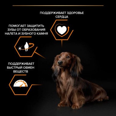 Сухой корм PRO PLAN® для взрослых собак мелких и карликовых пород, с высоким содержанием курицы
