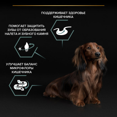 Сухой корм PRO PLAN® для взрослых собак мелких и карликовых пород с чувствительным пищеварением, с высоким содержанием ягненк