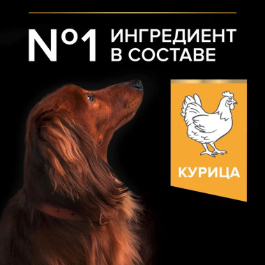 Сухой корм PRO PLAN® для взрослых собак мелких и карликовых пород, с высоким содержанием курицы