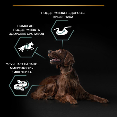Сухой корм PRO PLAN® для взрослых собак крупных пород с атлетическим телосложением с чувствительным пищеварением, с высоким с