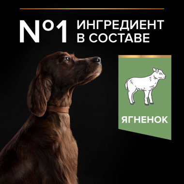 Сухой корм PRO PLAN® для взрослых собак крупных пород с атлетическим телосложением с чувствительным пищеварением