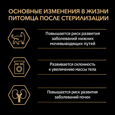 Сухой корм Pro Plan для стерилизованных кошек и кастрированных котов старше 1 года для поддержания органов чувств, с высоким