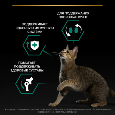 Сухой корм PRO PLAN® Adult RENAL PLUS для взрослых кошек для поддержания здоровья почек с высоким содержанием курицы