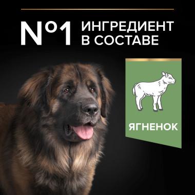 Сухой корм PRO PLAN® для взрослых собак крупных пород с мощным телосложением с чувствительным пищеварением