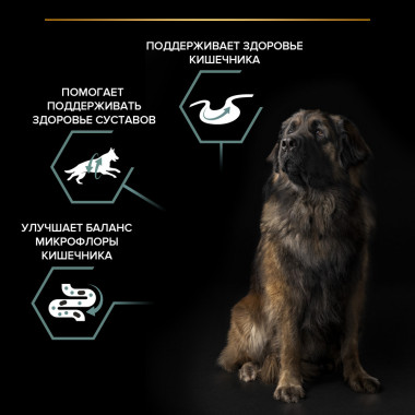 Сухой корм PRO PLAN® для взрослых собак крупных пород с мощным телосложением с чувствительным пищеварением. Высокое содержание ягненка