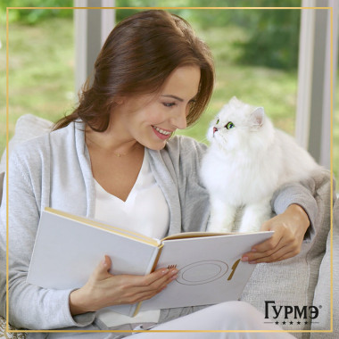 Влажный корм Гурмэ Желе Де-Люкс для кошек, с курицей в роскошном желе 75 г