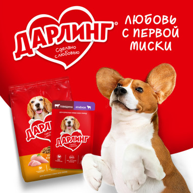 Сухой корм ДАРЛИНГ для взрослых собак, с птицей и добавлением овощей, 500 г
