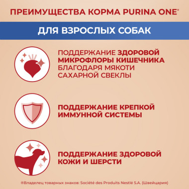 Сухой корм Purina ONE® полнорационный для взрослых собак средних и крупных пород, с высоким содержанием ягненка и рисом