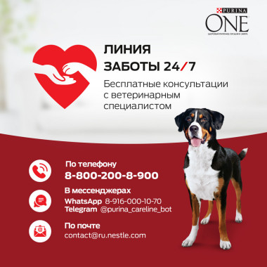 Сухой корм Purina ONE® для взрослых собак средних и крупных пород, с высоким содержанием говядины и с рисом