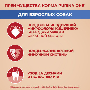 Сухой корм Purina ONE® для взрослых собак мелких и карликовых пород м, с высоким содержанием говядины и рисом