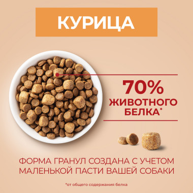 Сухой корм Purina ONE МИНИ Активная для собак мелких пород, с высоким содержанием курицы и с рисом