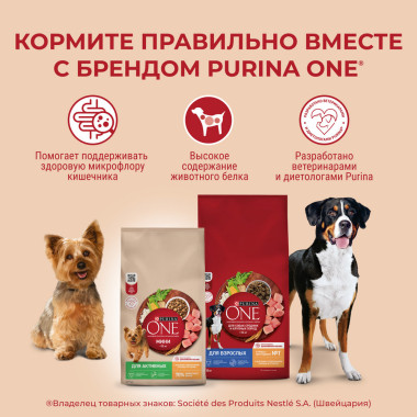 Сухой корм Purina ONE® для взрослых собак средних и крупных пород, с высоким содержанием говядины и с рисом