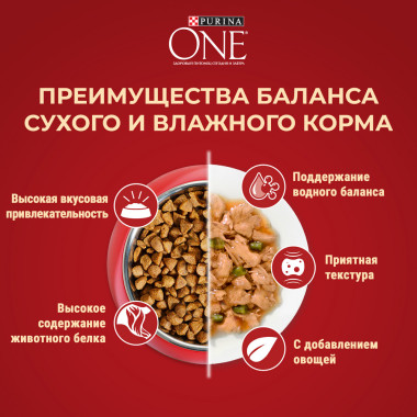 Сухой корм Purina ONE® для взрослых собак мелких и карликовых пород м, с высоким содержанием говядины и рисом