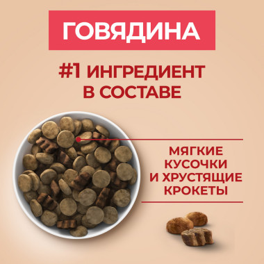 Сухой корм Purina ONE® для взрослых собак средних и крупных пород, с высоким содержанием говядины и с рисом