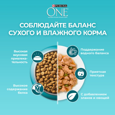 Сухой корм Purina ONE для кошек старше 11 лет, с высоким содержанием курицы и цельными злаками