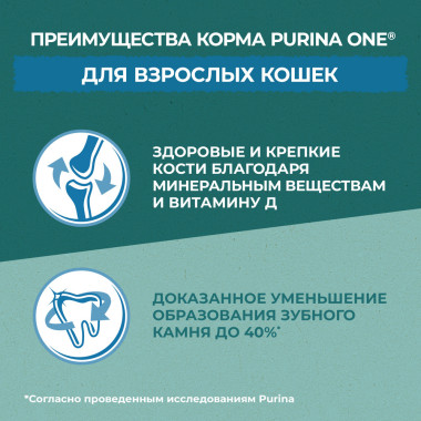 Сухой корм Purina ONE® Природа Здоровья для взрослых кошек с индейкой