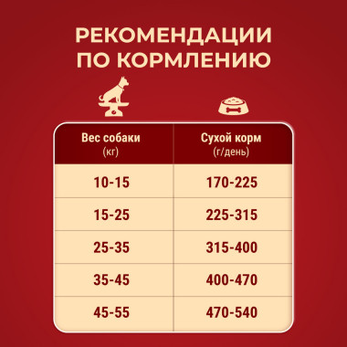 Сухой корм Purina ONE® для взрослых собак средних и крупных пород, с высоким содержанием говядины и с рисом