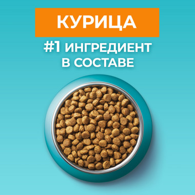 Сухой корм Purina ONE для кошек старше 11 лет, с высоким содержанием курицы и цельными злаками